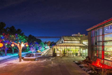 Blossoms of Light Denver Botanic Gardens is one of the very best things to do in Denver