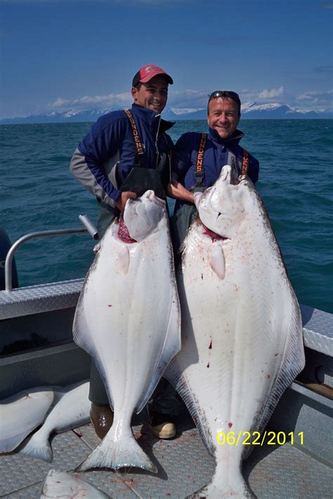 Alaska Halibut Fishing | Alaska Fish On Charters