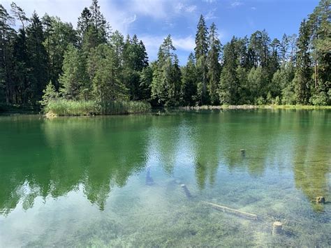 Lake Water Estonia - Free photo on Pixabay - Pixabay