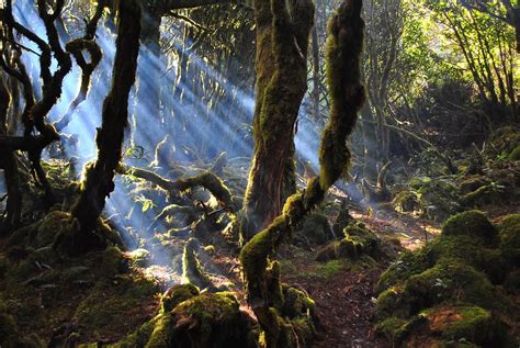 Mount Dulang-Dulang, Lantapan, Bukidnon : r/Philippines