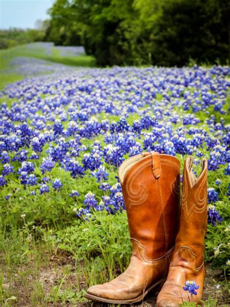 16 Amazing Places to See Bluebonnets in Texas