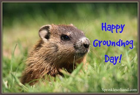 Groundhog Day | Groundhog day, Happy groundhog day, Groundhog