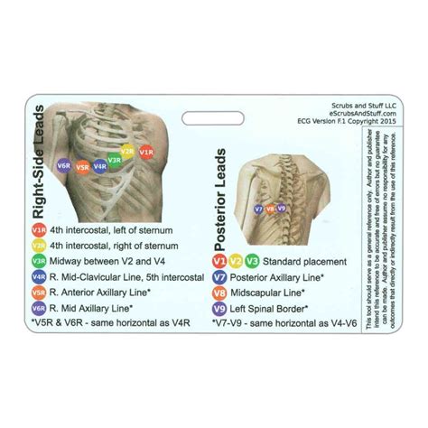 EKG, EKG Ruler, Calipers, and Diagram Quick Reference Badge Card, made of durable waterproof ...