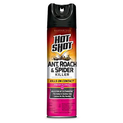 The Best Roach Spray | August 2022