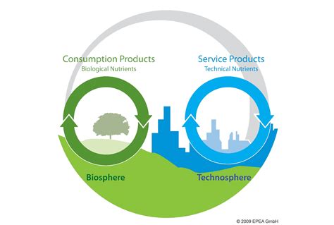 3 Examples of the Circular Economy | by Maria Antoanela Ionita | Climate Conscious | Medium