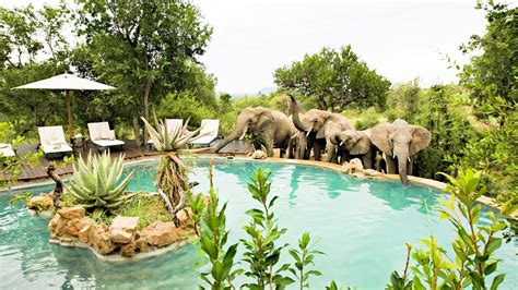 Entabeni Game Reserve, South Africa safari - YouTube