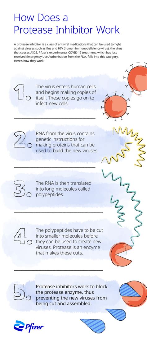 What Is a Virus and How Does It Make Us Sick? | Pfizer