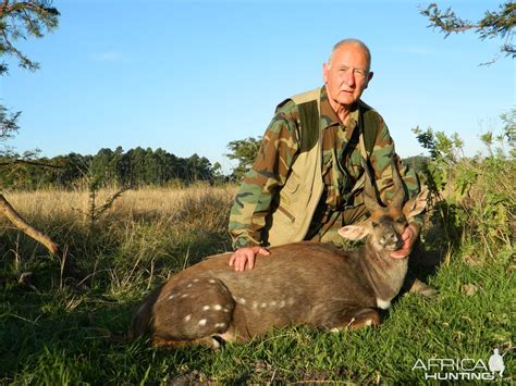 Old Warrior Cape Bushbuck | AfricaHunting.com