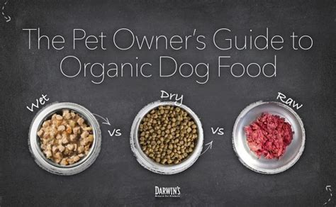 The Pet Owner’s Guide to Organic Dog Food | Darwin's Natural Pet Products | Darwin's Pet Food