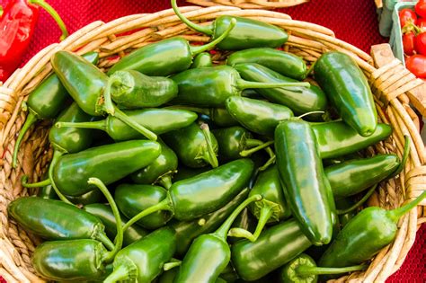 How Many Jalapenos in Pounds, Ounces and More - Cuisine Seeker