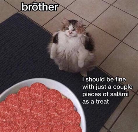 Yes Indeed, Cats Can Have A Little Salami (27 Memes)