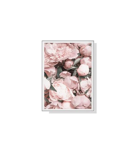 Pink Peonies Wall Art Canvas 4 sizes available 70cm x 50cm by Luxe ...