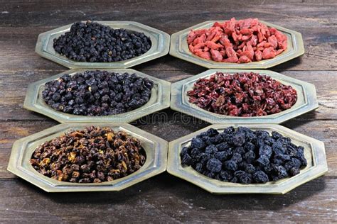 Dried berries stock image. Image of biological, natural - 64775169