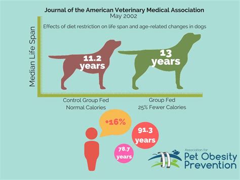 Pin by Patricia Henshaw on Pets | Overweight pet, Obesity, Prevention