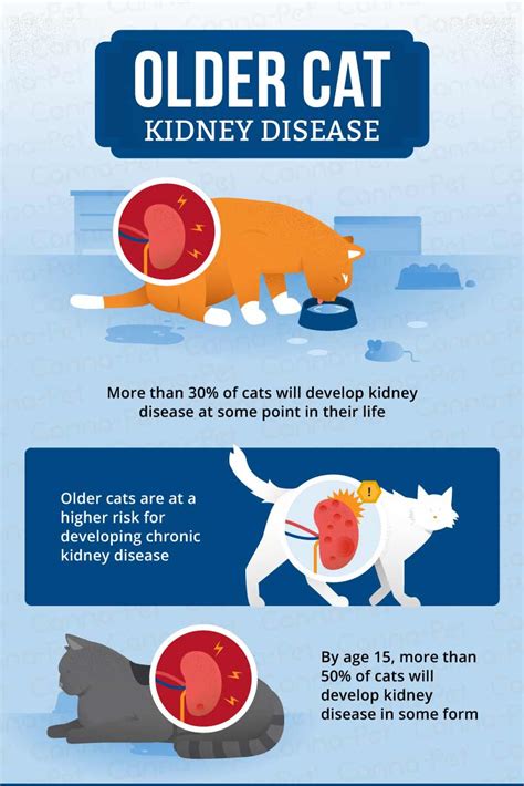 Pepcid for dogs with kidney disease