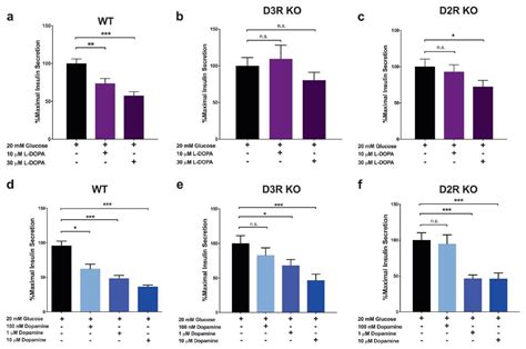 The Effects of Dopamine and Antipsychotic Drugs on the Body’s Ability to Respond to Insulin ...