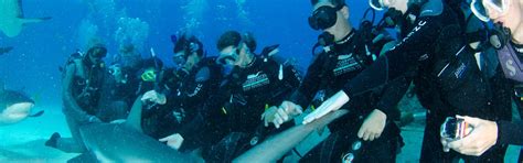 Diving & Dive Sites: Grand Bahama Island & Vacations