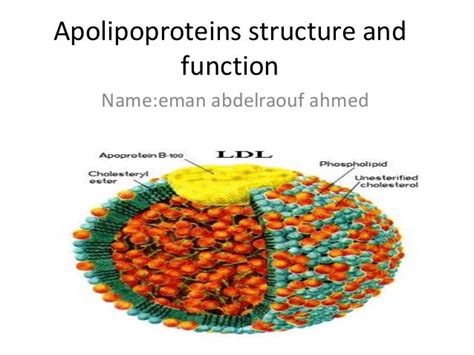 Structure lipoproteins