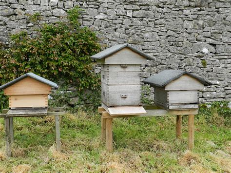 An Introduction to Backyard Beekeeping - BeeKeepClub