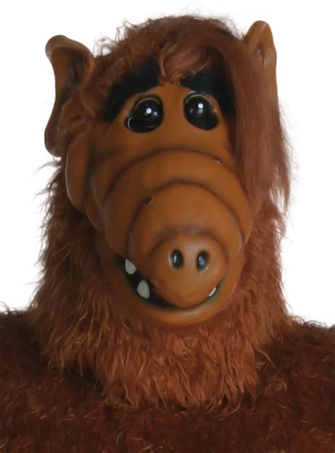 Amazon.com: Fun Costumes Adult Overhead ALF Mask Standard: Clothing