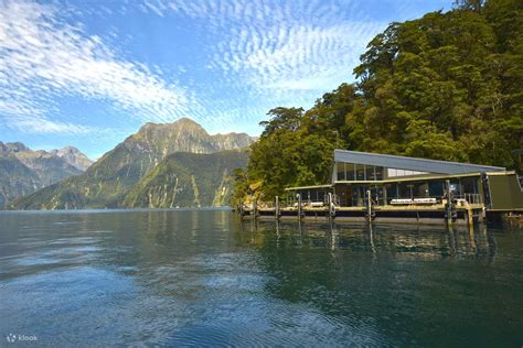 Discover More Cruise Southern Discoveries in Milford Sound - Klook ...