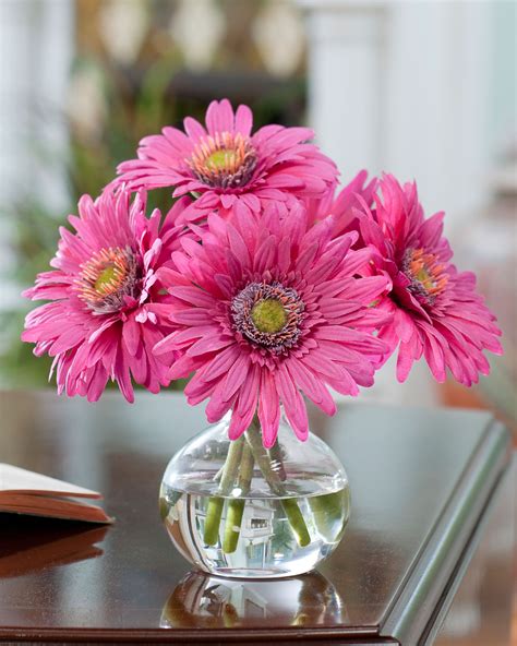 Daisy Flower Arrangements Centerpieces | Best Flower Site