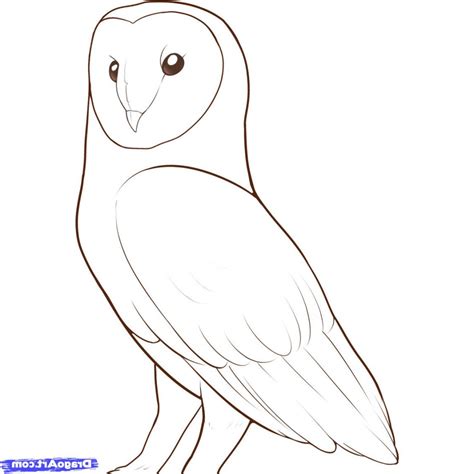 Easy Owl Drawing Step By Step at PaintingValley.com | Explore collection of Easy Owl Drawing ...