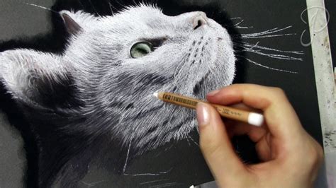 Realistic White Cat Portrait - Pastel Drawing | Speed Art Painting - YouTube