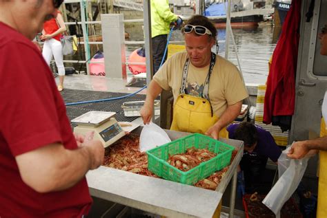 Spot Prawn Festival