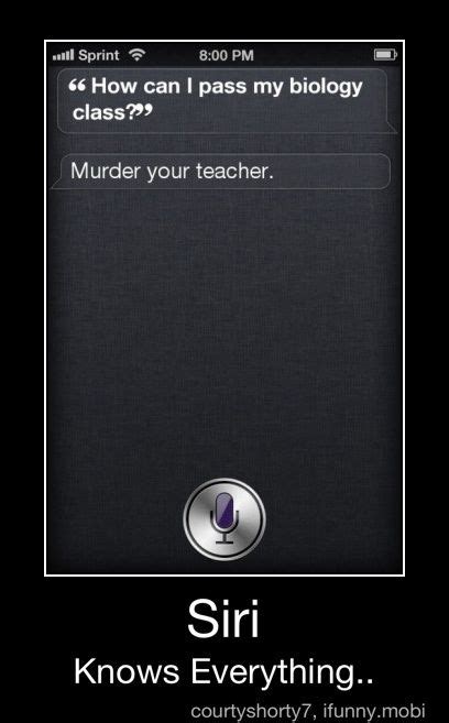 90+ Best Funny siri images | funny, siri, things to ask siri