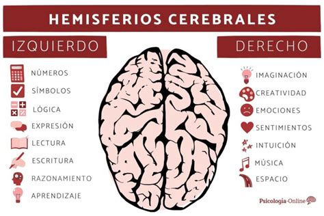 Cuadro Comparativo sobre los Hemisferios cerebrales - Cuadro Comparativo