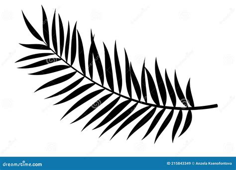 Palm Leaf Vector Background Illustration. Realistic Palm Tree Leaf ...