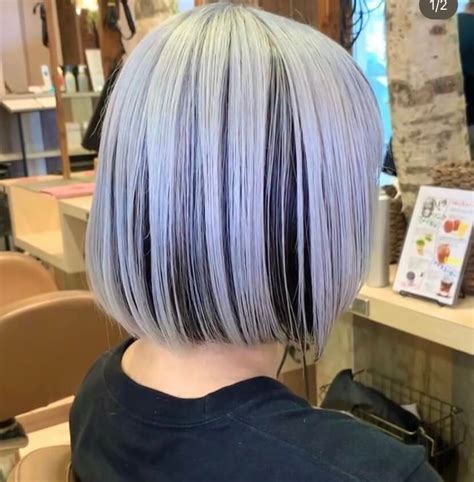 Details more than 77 hair highlights for white hair latest - in.eteachers