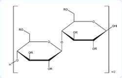 Hydroxyethyl Cellulose - 9004-62-0 Latest Price, Manufacturers & Suppliers