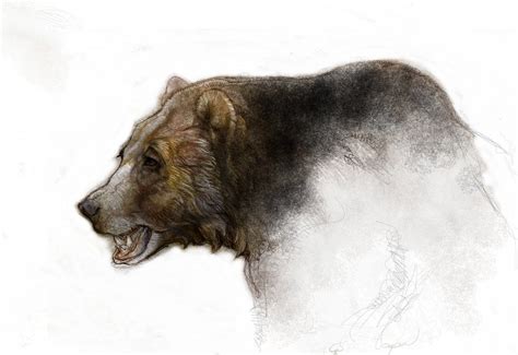 Kodiak ,Grizzly,Brown Bear sketch by KevinNichols on deviantART Bear ...