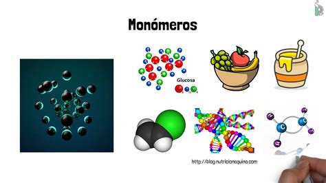 Polímeros 🛍️ Copolímeros🗑️ y Elastómeros🎈 (Definiciones y diferencias ...