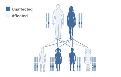 Genes and Inherited Diseases