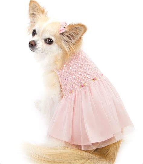 9+Modern Dresses For Chihuahua - Hector LifeDesign