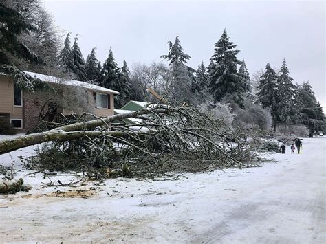 Salem ice storm damage will cost more than $4 million, officials say | KATU