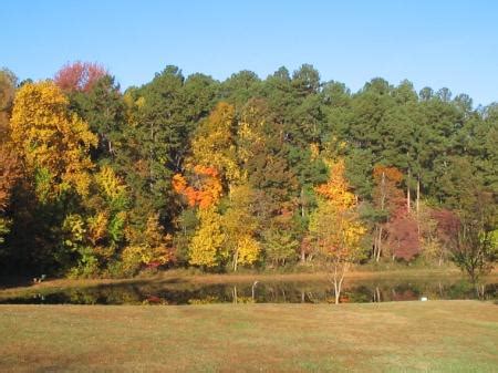 Greensboro's Best Parks and Natural Areas - Green Ford Blog