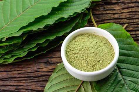 Kratom: What is it, who’s using it, and why? – Recovery Research Institute