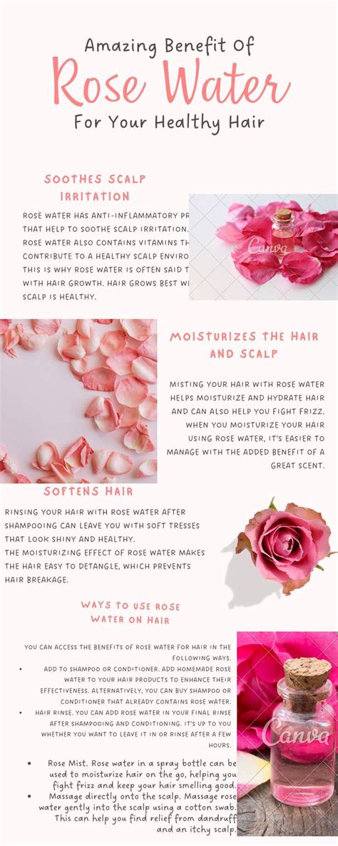 Rose Water Benefits Hair, Rose Tea Benefits, Rose Water Hair, Rose Water For Skin, Making Rose ...