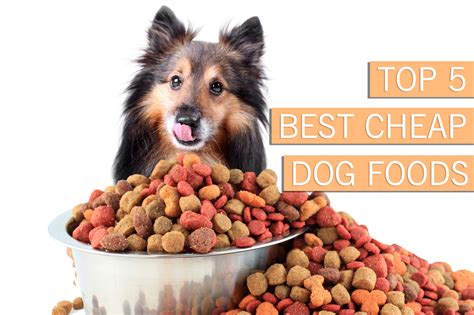 Top 5 Best Cheap Dog Foods [Buyer's Guide For 2021]