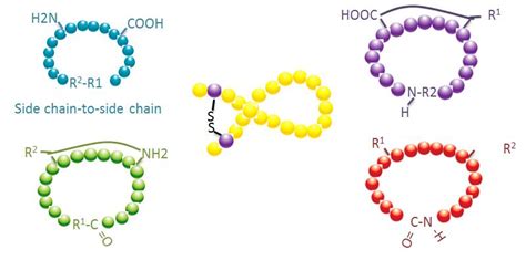 Peptide Synthesis