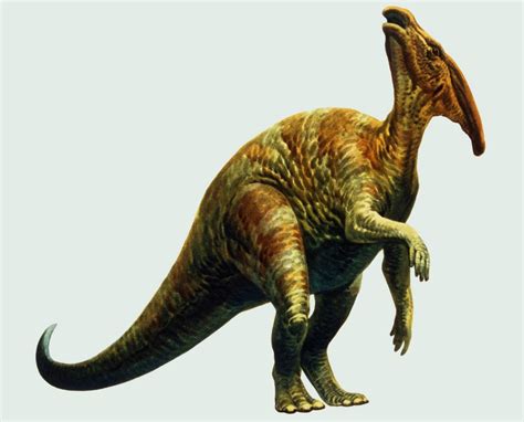 Duck-billed dinosaur with arthritis is a rare find - Cosmos Magazine