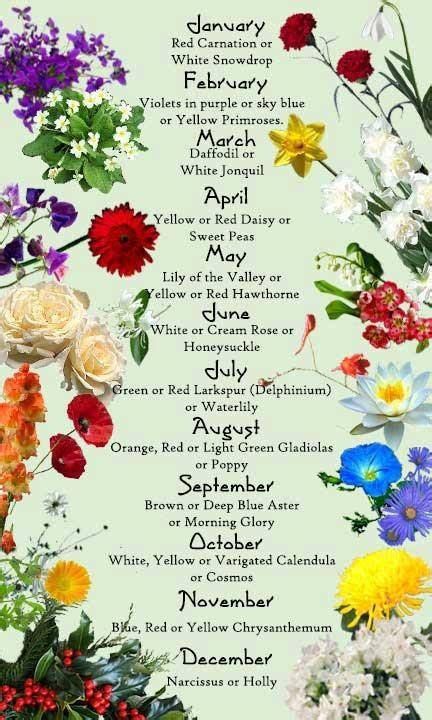 Zodiac Flowers | Birth month flowers, Birth flowers, Month flowers