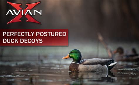Amazon.com : Avian-X Topflight Early Season Teal Durable Ultra Realistic Floating Hunting Duck ...