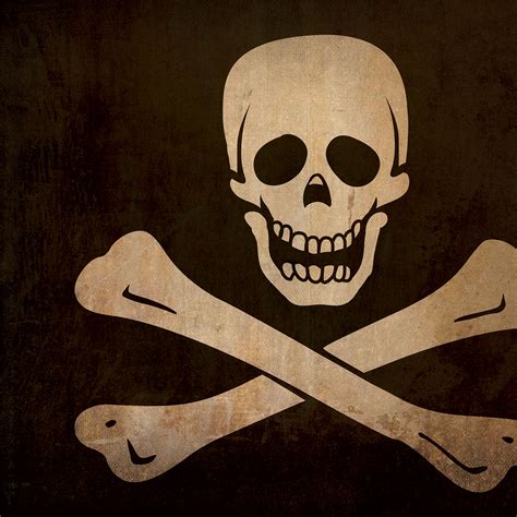 Jolly Roger Flag Art - City Prints