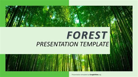 Animal and Wildlife Presentation Templates · Google Slides Templates