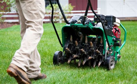 Should I Aerate My Lawn In The Fall? - Aeration | Weed-A-Way Lawn Care